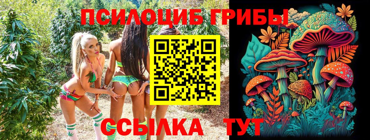 Пыть-Ях  Псилоцибиновые грибы мицелий  Вход с VPN 
